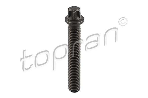 Pulley Bolt (77)  Art. 503682