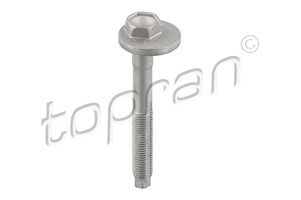 Camber Correction Screw (front axle both sides)  Art. 119041