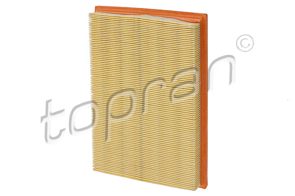 Air Filter  Art. 300010