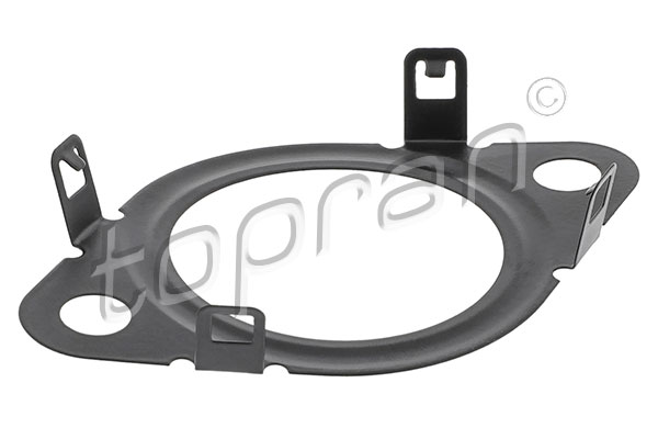 Gasket, EGR valve  Art. 601396