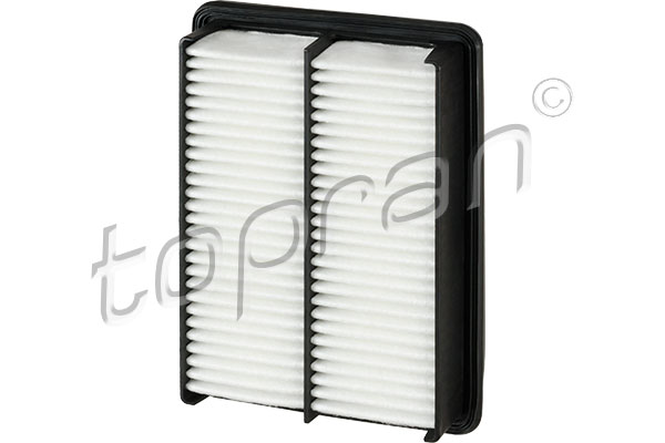 Air Filter  Art. 820856