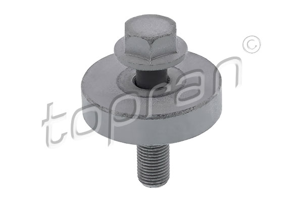 Pulley Bolt (Pulley side)  Art. 701616