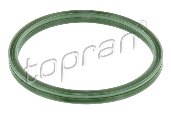 Seal Ring, charge air hose (54.5)  Art. 116305