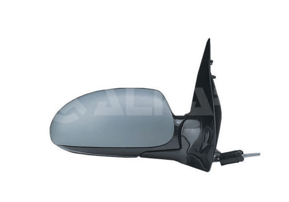 Exterior Mirror (Right)  Art. 6134399