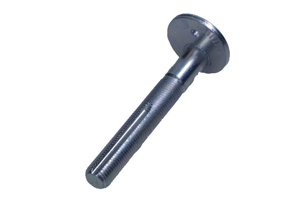 Camber Correction Screw  Art. 495150