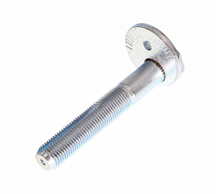 Camber Correction Screw  Art. 495163