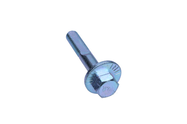 Camber Correction Screw  Art. 495418