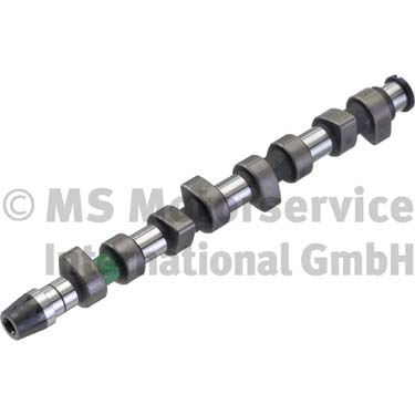 Camshaft  Art. 50006203