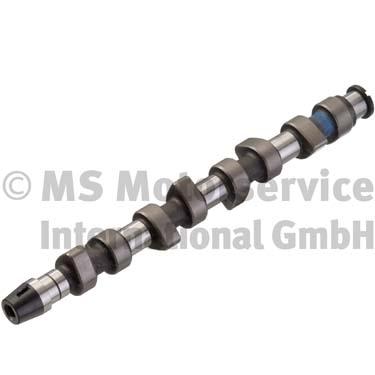 Camshaft (Suction side)  Art. 50006204