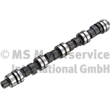 Camshaft (Suction side)  Art. 50006259