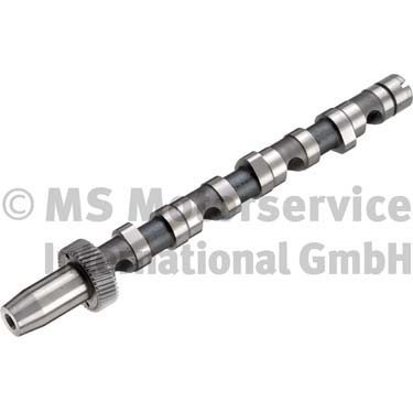 Camshaft  Art. 50006301