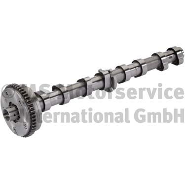 Camshaft (Suction side)  Art. 50007634