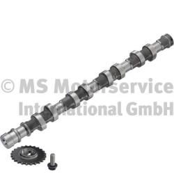 Camshaft (Removal side)  Art. 50007688