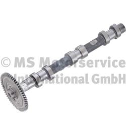 Camshaft (Removal side)  Art. 50007694