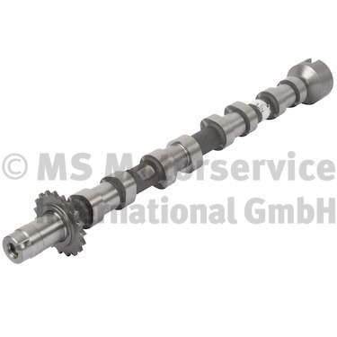 Camshaft (Removal side)  Art. 50007706