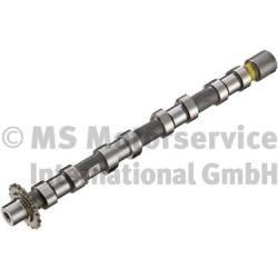 Camshaft (Removal side)  Art. 50007707