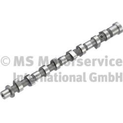 Camshaft (Drain valve)  Art. 50007803