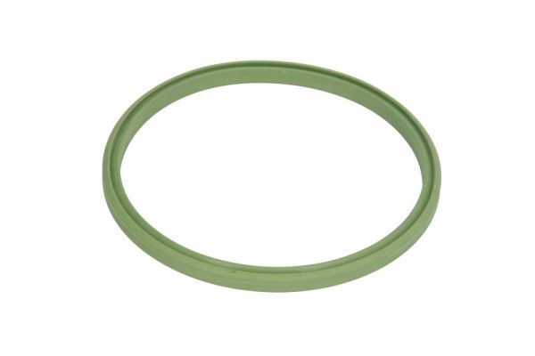 Seal Ring, charge air hose  Art. DCM070TT