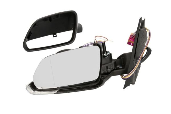 Exterior Mirror (Left)  Art. 5402041111111P