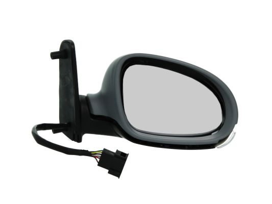 Exterior Mirror (Right, Right)  Art. 5402041139891P