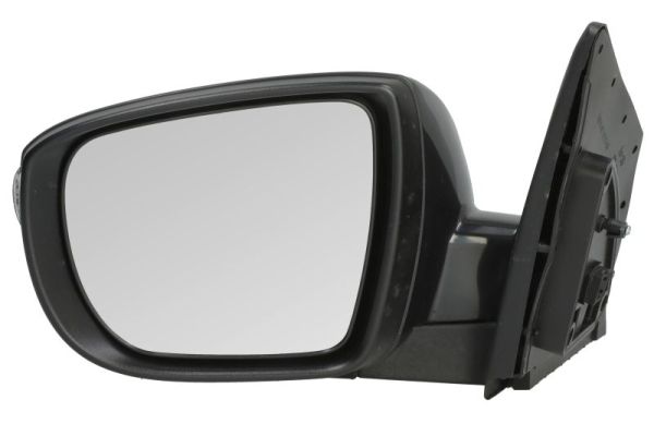 Exterior Mirror (Left)  Art. 5402041502207P