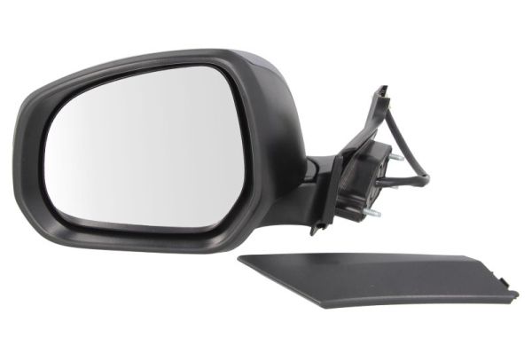 Exterior Mirror (Left)  Art. 5402042001971P