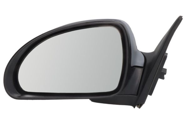 Exterior Mirror (Left)  Art. 5402049927133P