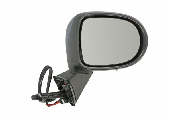 Exterior Mirror (Right)  Art. 5402092002202P