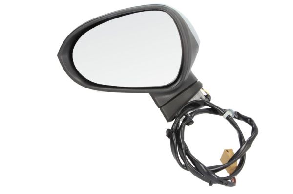 Exterior Mirror (Left)  Art. 5402102002279P