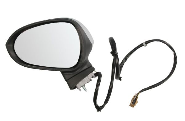 Exterior Mirror (Left)  Art. 5402102002281P