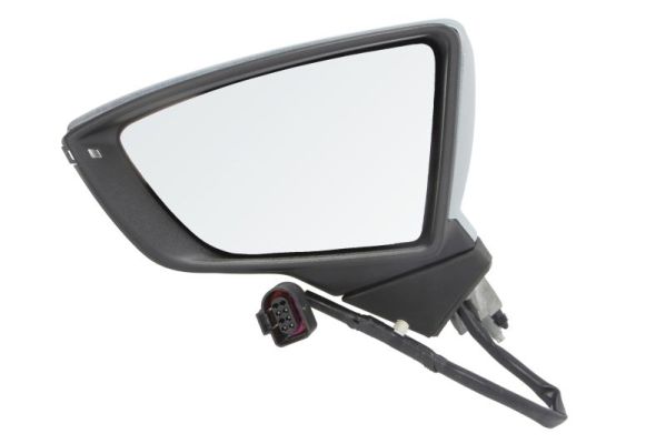 Exterior Mirror (Left)  Art. 5402102002301P