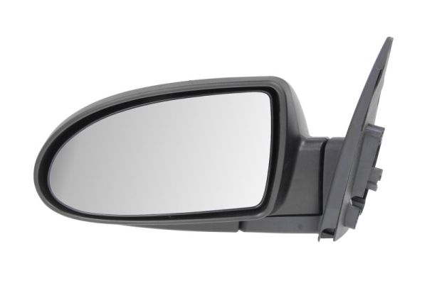 Exterior Mirror (Left)  Art. 5402202001357P