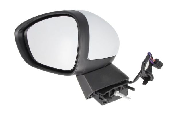 Exterior Mirror (Left)  Art. 540221042361P