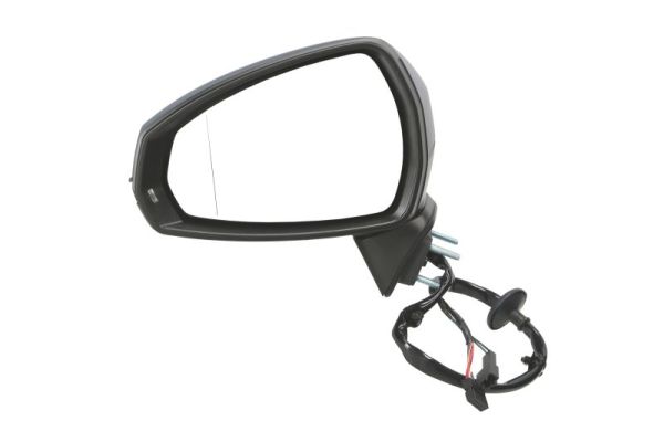 Exterior Mirror (Left)  Art. 5402252001019P