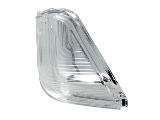 Auxiliary Direction Indicator (Exterior mirror)  Art. 54030310010P