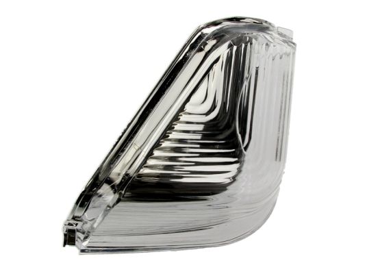 Auxiliary Direction Indicator (Exterior mirror)  Art. 54030310011P