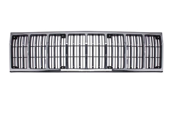 Radiator Grille  Art. 5601003203996P