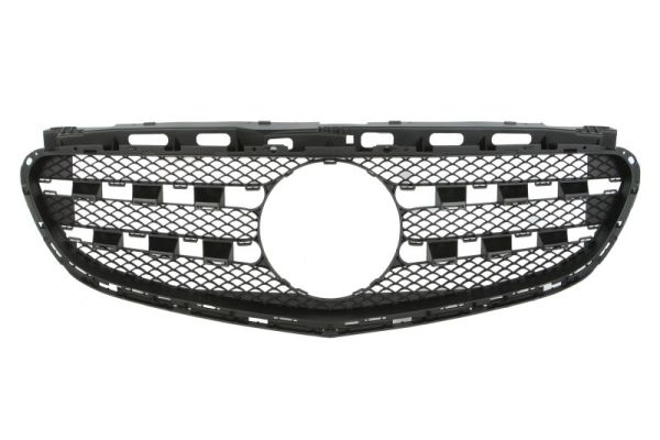 Radiator Grille  Art. 5601003529993P