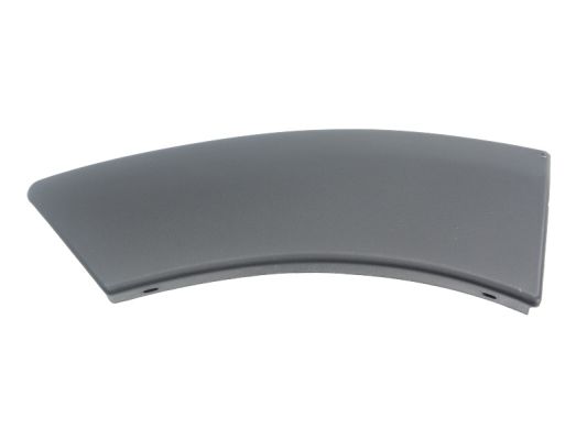 Trim/Protection Strip, wing (Back, right)  Art. 5703041305598P