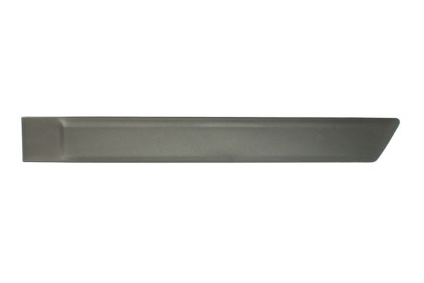 Trim/Protection Strip, wing (Back, left)  Art. 5703042576573PP