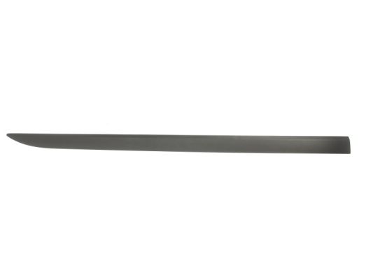 Trim/Protection Strip, wing (Forward, right)  Art. 5703045024572P