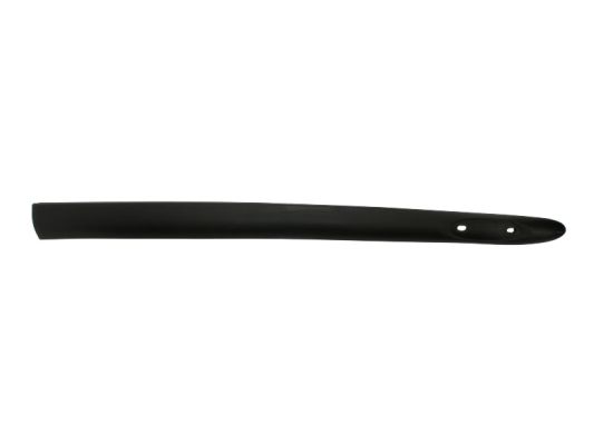 Trim/Protection Strip, wing (Forward, right)  Art. 5703046032572P