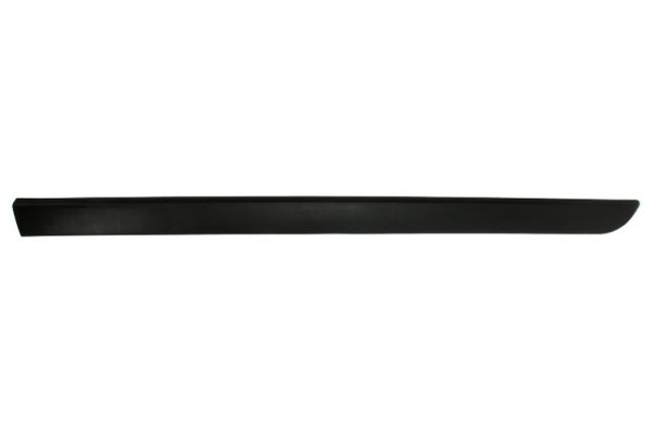 Trim/Protection Strip, wing (Forward, right)  Art. 5703046042572P