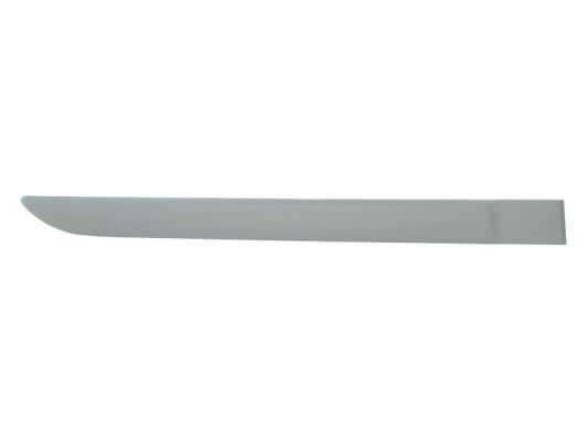 Trim/Protection Strip, wing (Back, right)  Art. 5703046042578P