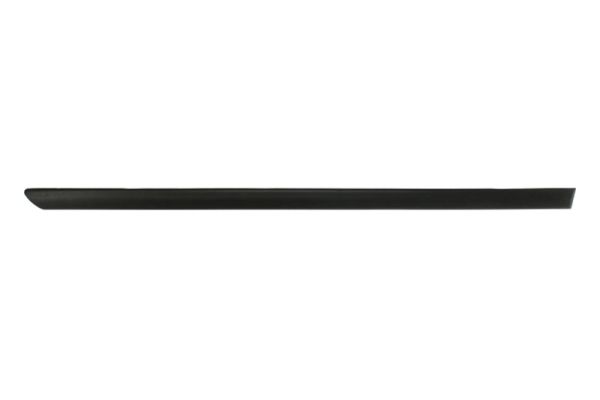 Trim/Protection Strip, wing (Back, right)  Art. 5703049504574SP