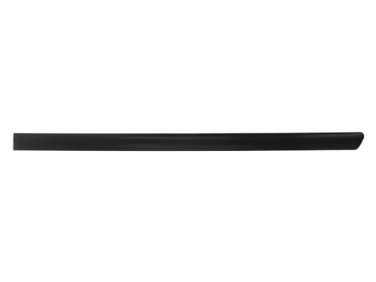 Trim/Protection Strip, wing (Back, left)  Art. 5703049539573P