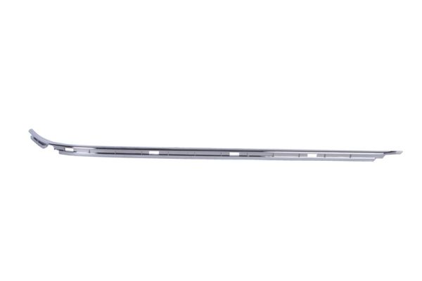 Trim/Protection Strip, bumper (Back, left)  Art. 5703050065971P