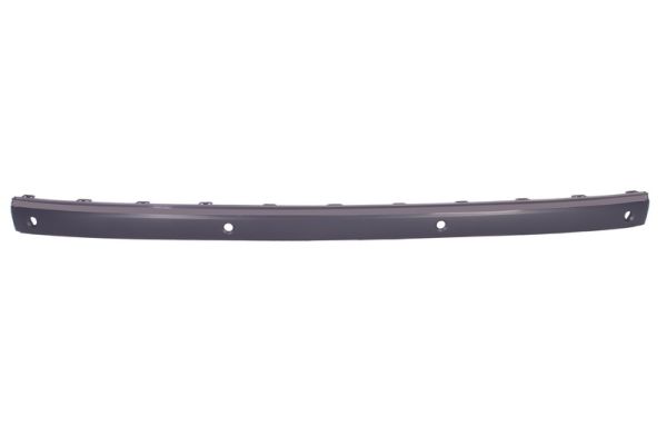 Trim/Protection Strip, bumper (Back, Back)  Art. 5703053528973P