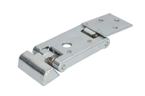 Door Hinge  Art. 6004000284P