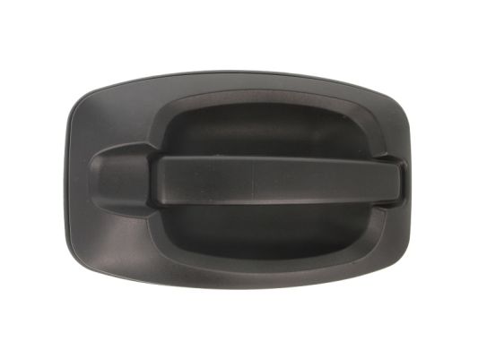 Exterior Door Handle (Forward, right)  Art. 601007038402P